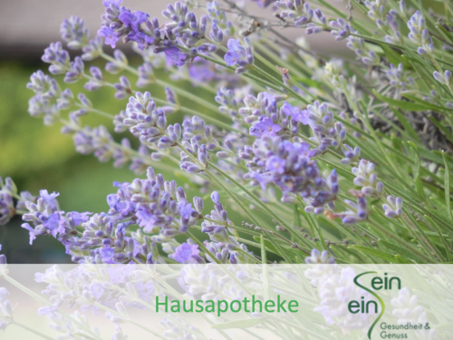 Hausapotheke Erweiterung